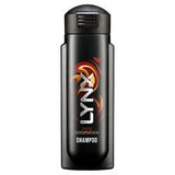 Lynx Dark Temptation Shampoo 300Ml